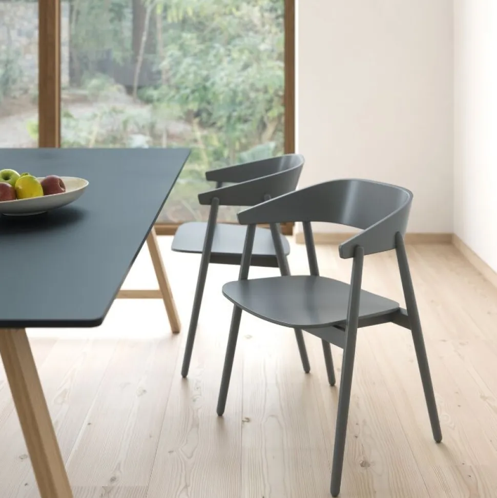 Andersen Furniture AC2 Stol Grå Bøg