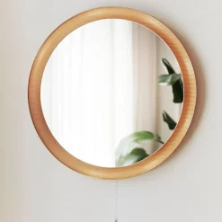 ATBO Floris Fiedeldij Vægspejl