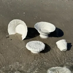 Atelier Marée Tidevands Tallerkenfad Hvid