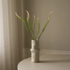 Botané Studios Actaea Racemosa "Fairy Candle" Flower Light Pink