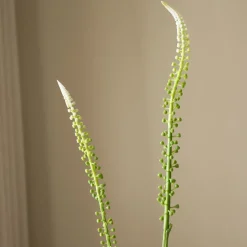 Botané Studios Actaea Racemosa "Fairy Candle" Flower White