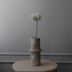 Botané Studios Agapanthus Flower White