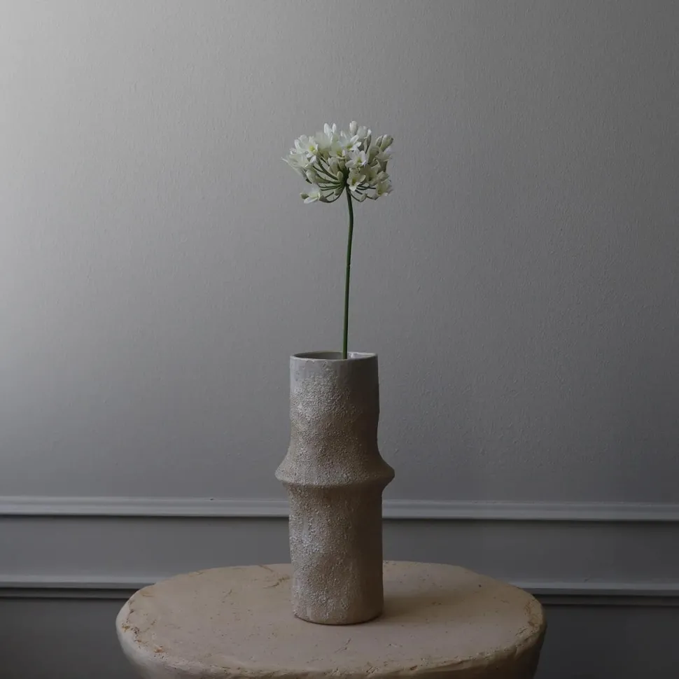 Botané Studios Agapanthus Flower White