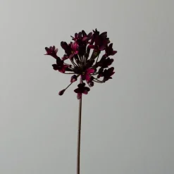 Botané Studios Agapanthus Flower Dark Red