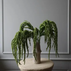 Botané Studios Amaranthus Flower Green