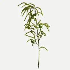 Botané Studios Amaranthus Cruentus Flower Green