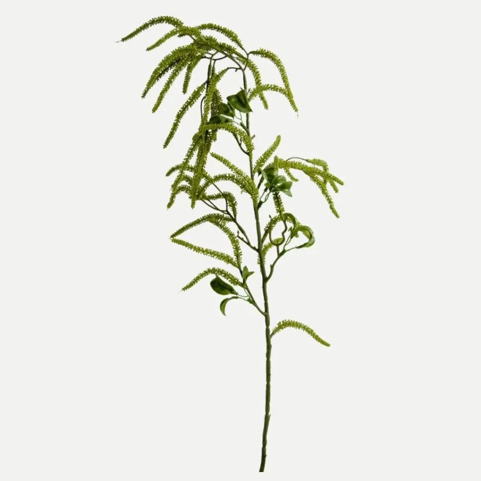 Botané Studios Amaranthus Cruentus Flower Green