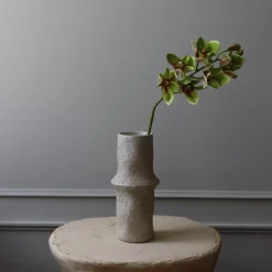 Botané Studios Cymbidium Orchid Flower Green