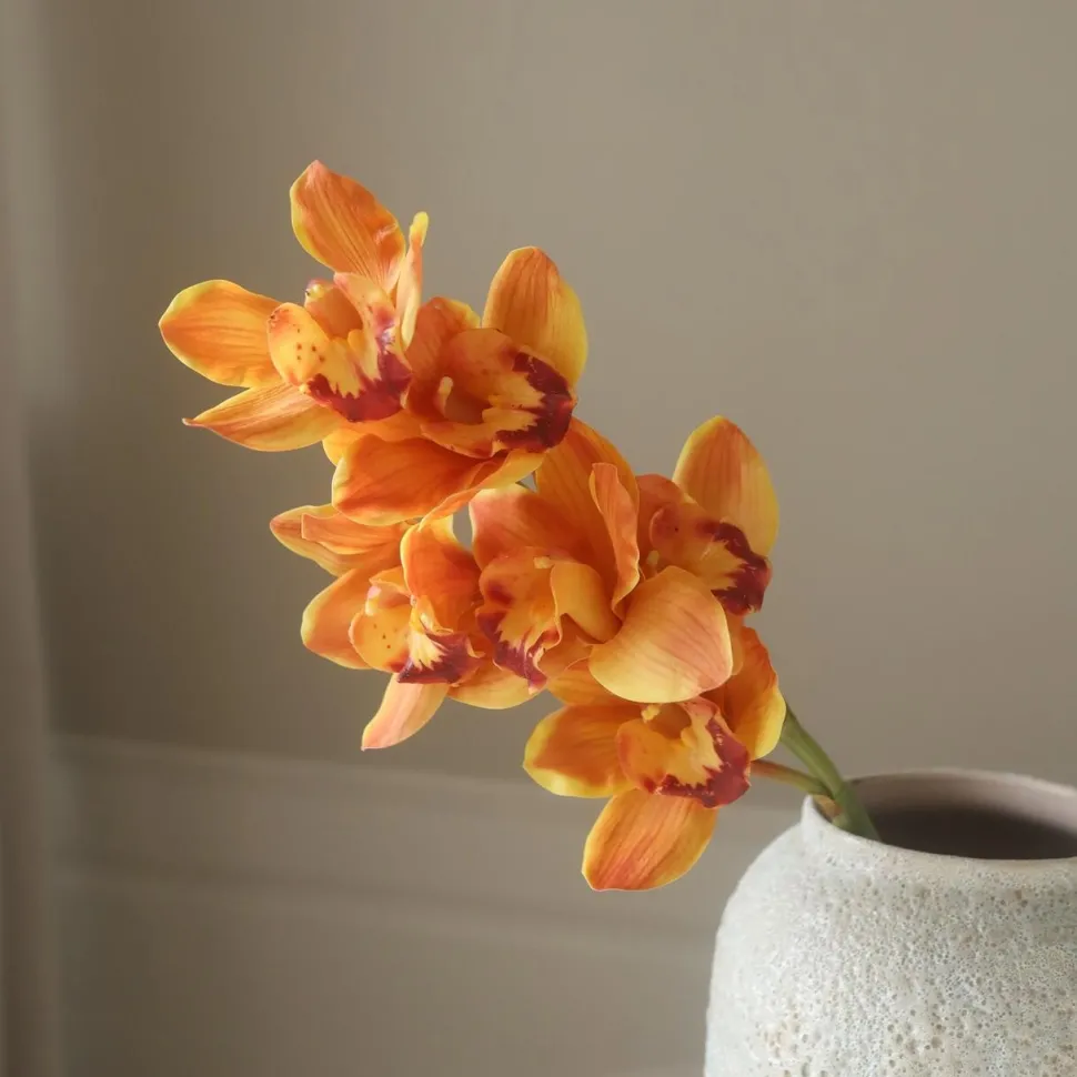 Botané Studios Cymbidium Orchid Flower Orange