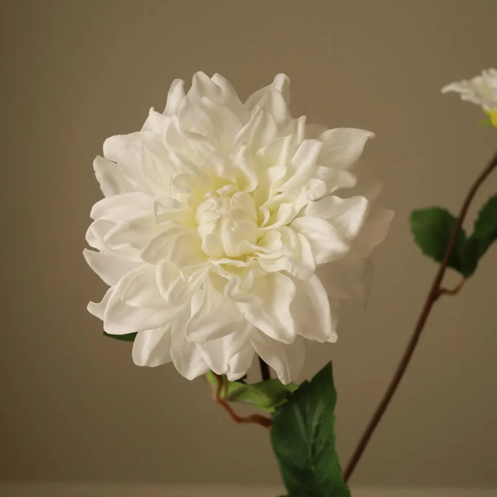 Botané Studios Dahlia Flower White