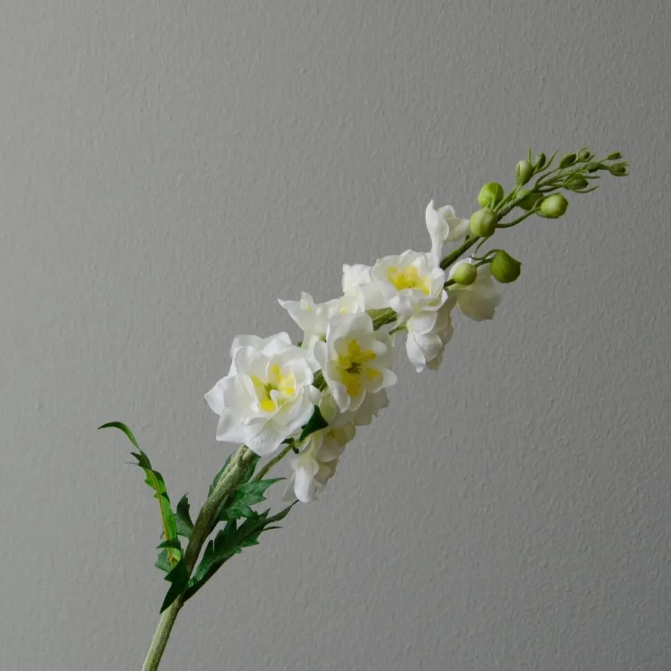 Botané Studios Delphinium Flower White