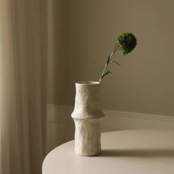 Botané Studios Dianthus Barbatus "Green Ball" Dark Green