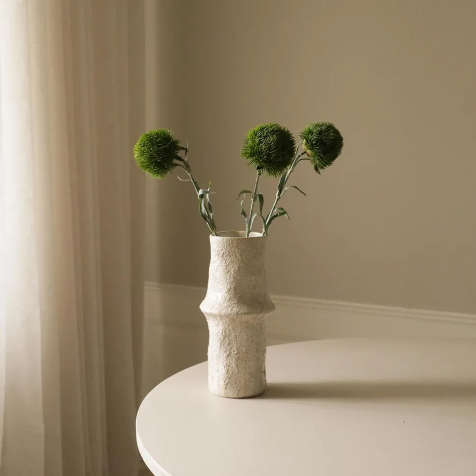 Botané Studios Dianthus Barbatus "Green Ball" Dark Green