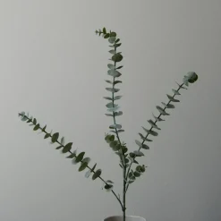 Botané Studios Eucalyptus Five Leave Green