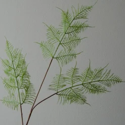 Botané Studios Fern Leave Green