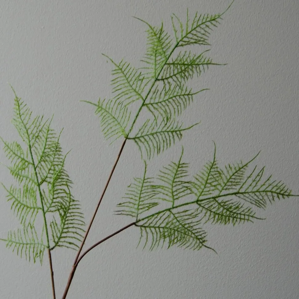 Botané Studios Fern Leave Green