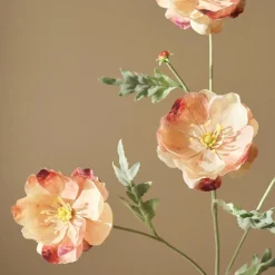 Botané Studios Four Heads Poppy Flower Rose