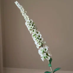 Botané Studios Foxtail Flower White