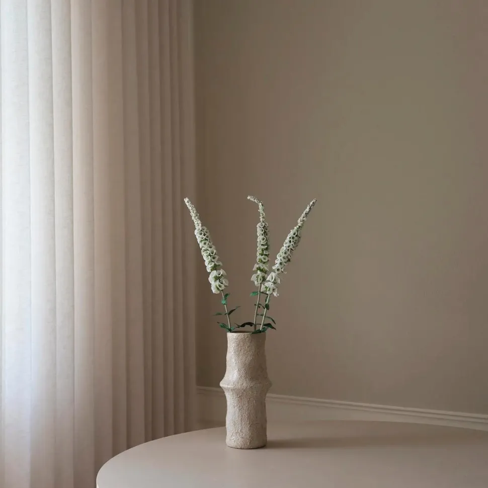 Botané Studios Foxtail Flower White