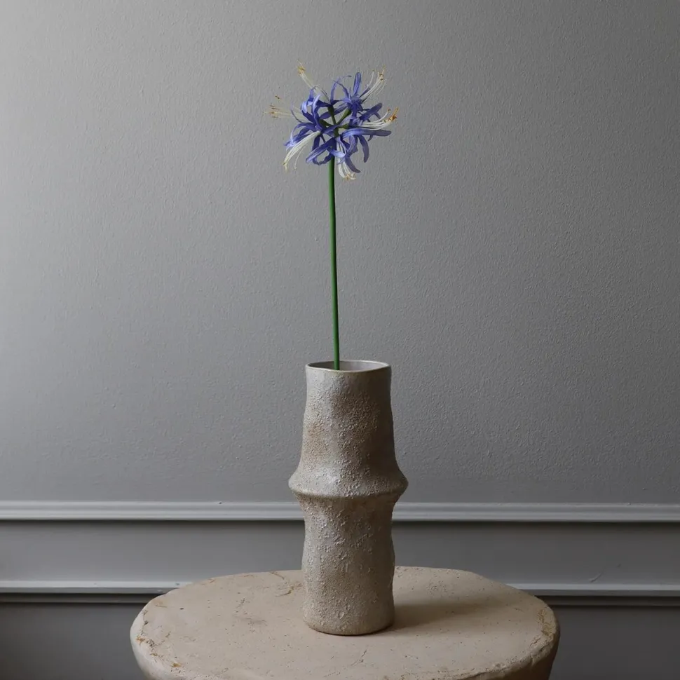 Botané Studios Higanbana "Spider Lilies" Amaryllis Flower Blue