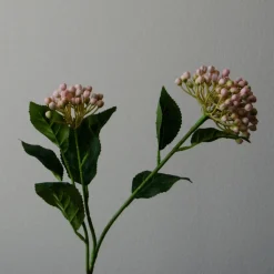 Botané Studios Hydrangea Berry Branch Rose