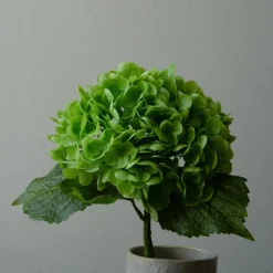 Botané Studios Hydrangea Flower Green