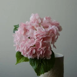 Botané Studios Hydrangea Flower Light Pink