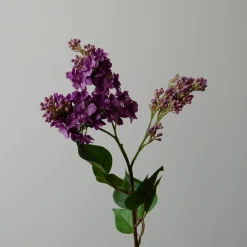 Botané Studios Lilac Flower Purple