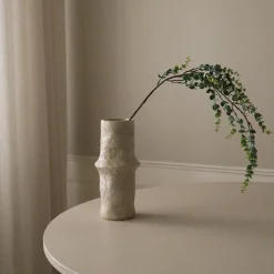 Botané Studios Parvifolia 'Gunni' Eucalyptus Leave Green