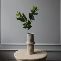 Botané Studios Ruscus Leave Green