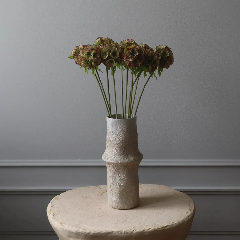 Botané Studios Scabiosa Seed Pod Flower Purple