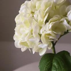 Botané Studios Short Hydrangea Flower Cream