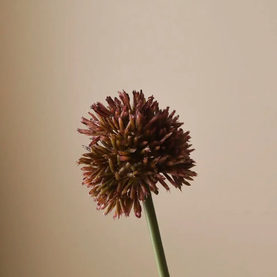 Botané Studios Small Allium Flower Purple