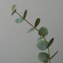 Botané Studios Small Eucalyptus Leave Green