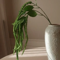Botané Studios Three Forks Amaranthus Flower Green