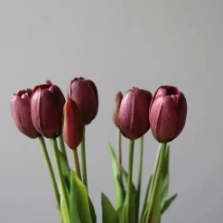 Botané Studios Tulip Bundle Purple (5 pieces)