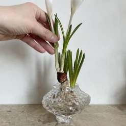 Hein Studio Canyon Vase Mini Clear