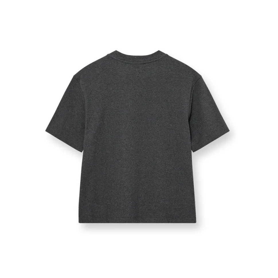 HEYANNO Trust Stable T-shirt Grey Melange