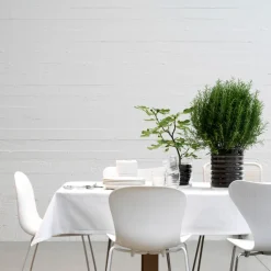 Louise Roe Willy Glass Container