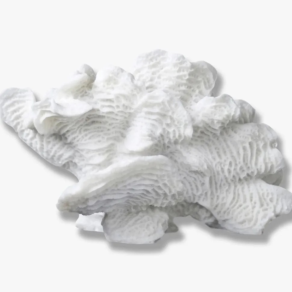 Mette Ditmer Coral Fan White