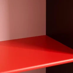 Montana x Kimpop Show