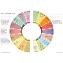 New Mags Wine - Taste Pair Pour