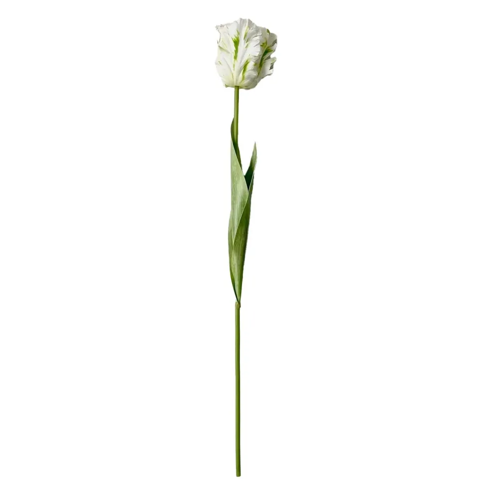 Okholm Studio Parrot Tulip Artificial Flower White