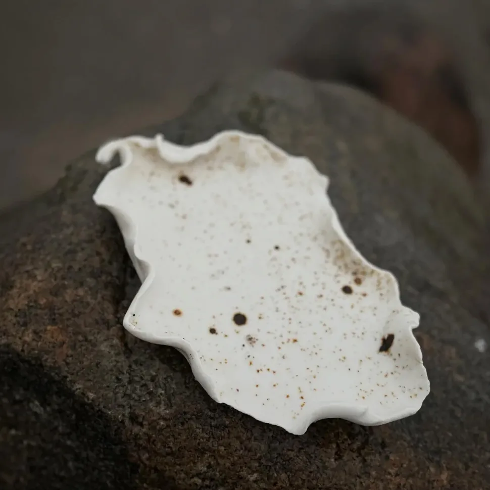 Studio Aarhus Reden Fad