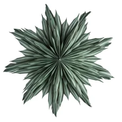 Watt & Veke Helena 44 Green